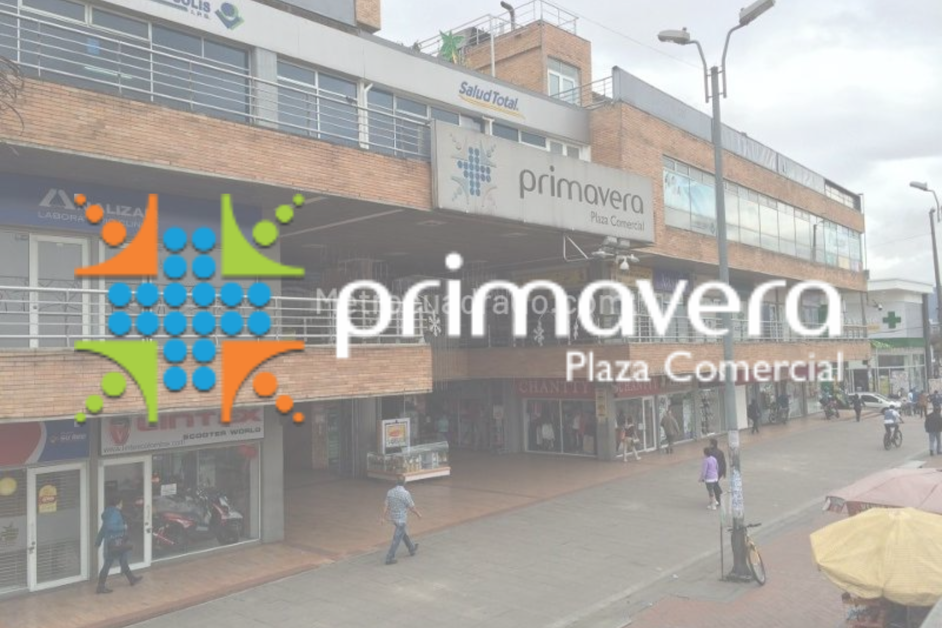 primavera primavera